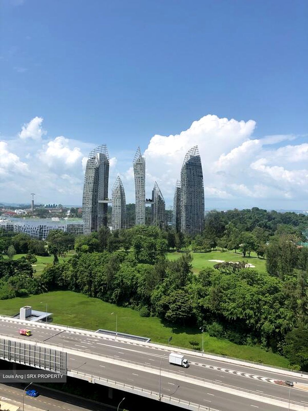 Harbour View Towers (D4), Condominium #521930621